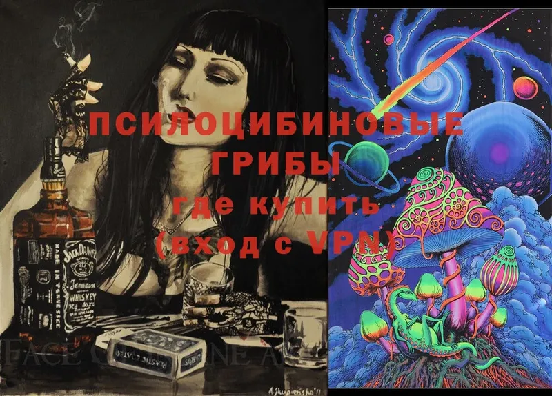 Галлюциногенные грибы Psilocybe  Красноярск 